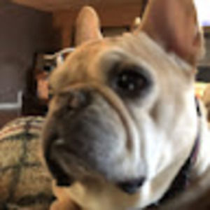 Meet your Posher, Sharon